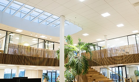 Norton ledpanelen