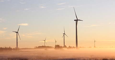 Onderzoek transitie klimaat