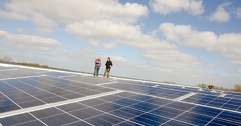 Zonnepanelen